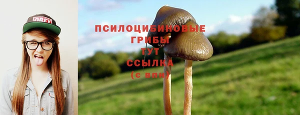 MDMA Алзамай